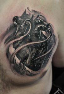anatomy_heart_tattoo_tattoofrequency_riga-marispavlo-normalsize