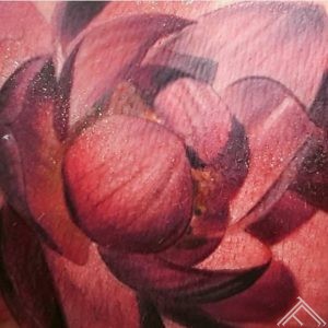 lotus-lotos-flower-zieds-riga-tattoofrequency-marispavlo-closeup-macro