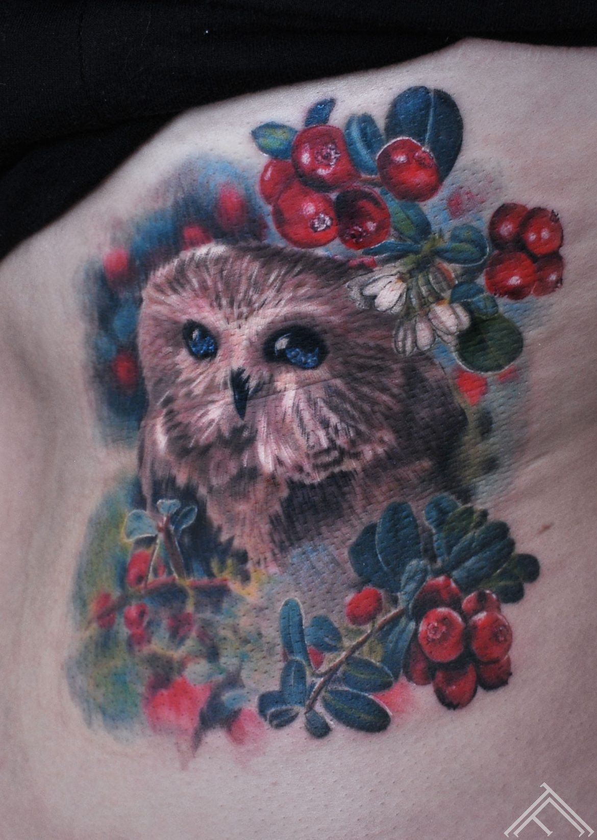 owl-tattoo-cranberries-dzervenes-bruklenes-bird-putns-puce-tetovejums-tattoo-riga-latvija-norway-tattoofrequency-janisanderson