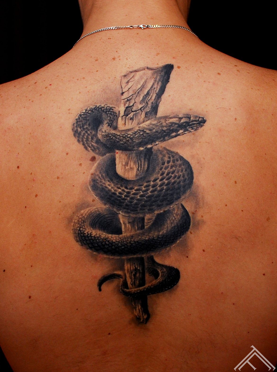 snake_marispavlo_tattoo_tattoofrequency