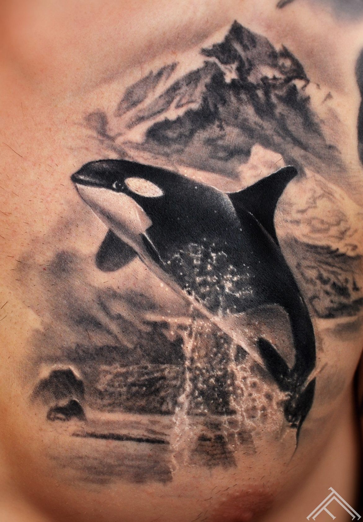 killer-whale-fish-tattoo-water-ocean-mountain-valis-zivs-kalni-tattoo-tattoofrequency-riga-marispavlo