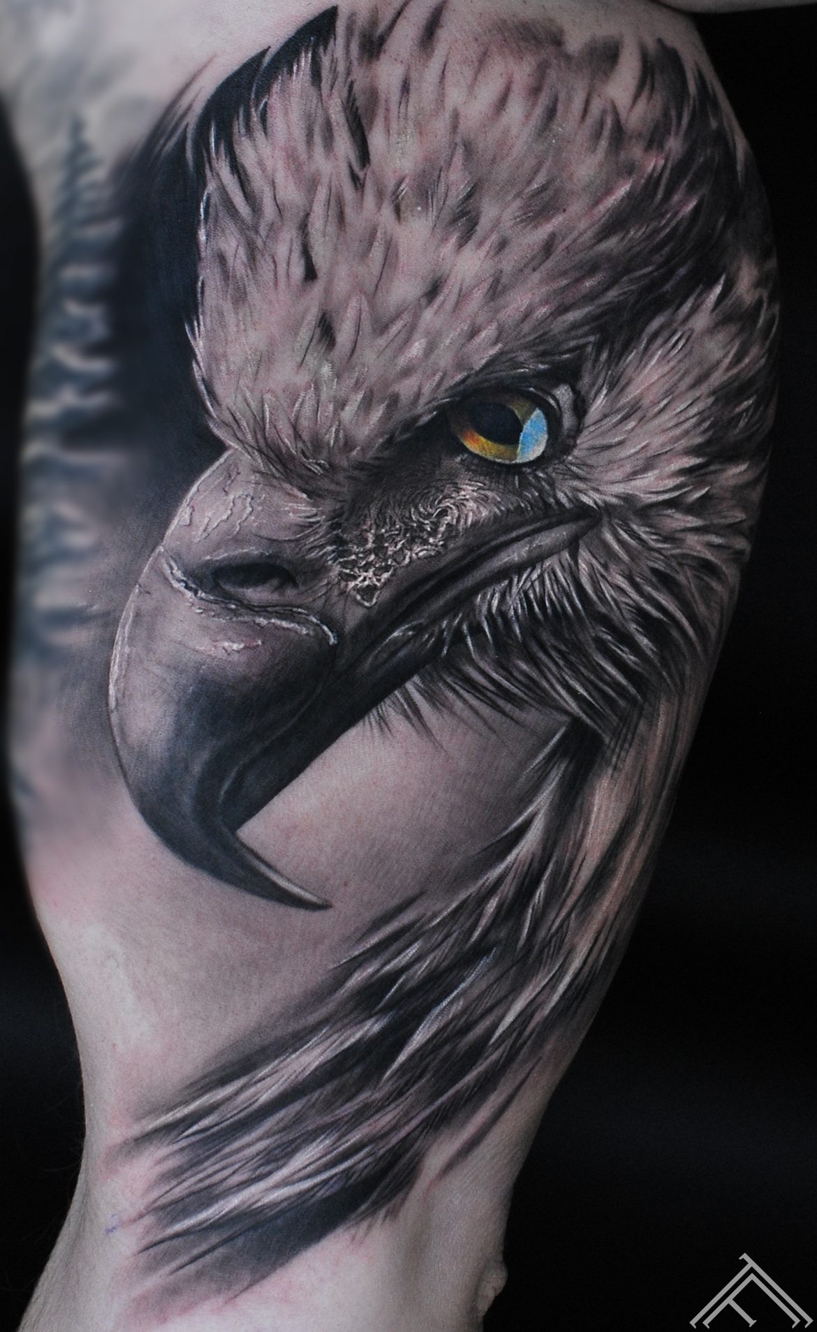 tattoo-tetovejums-eagle-erglis-portrait-marispavlo-tattoofrequency-riga