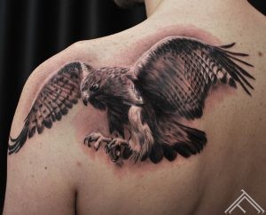 eagle-tattoo-tattoofrequency-bird-putns-janisanderson-riga