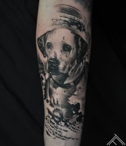 dog-tattoo-suns-tetovejums-marispavlo-art-maksla-tattoofrequency