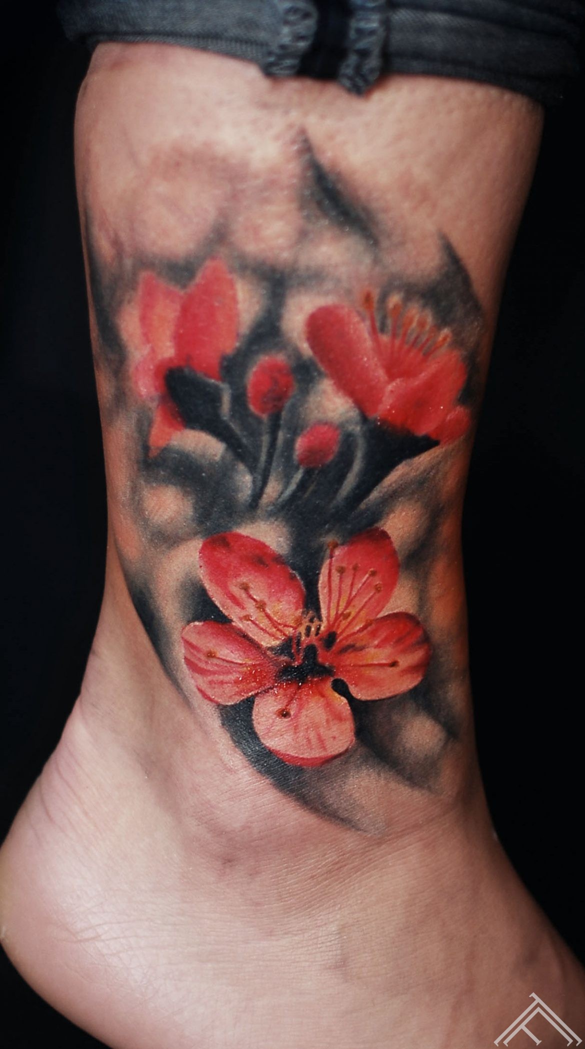 andersons_tattoo_flower_cherryblosom_tattoofrequency