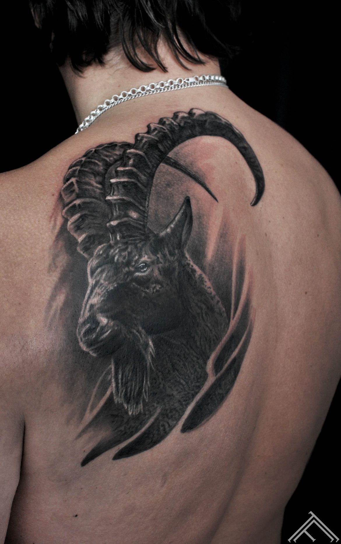animal-tattoo-tattoofrequency-riga-martinsilin-auns-kaza-tetovejums