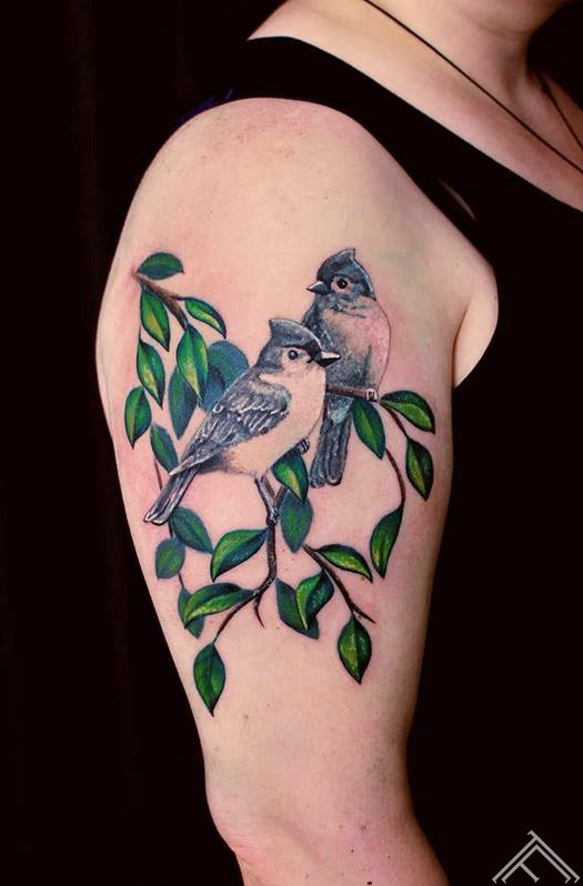 birds-putni-tattoo-tattoofrequency-riga-art-studija-tetovejums-tetovesana
