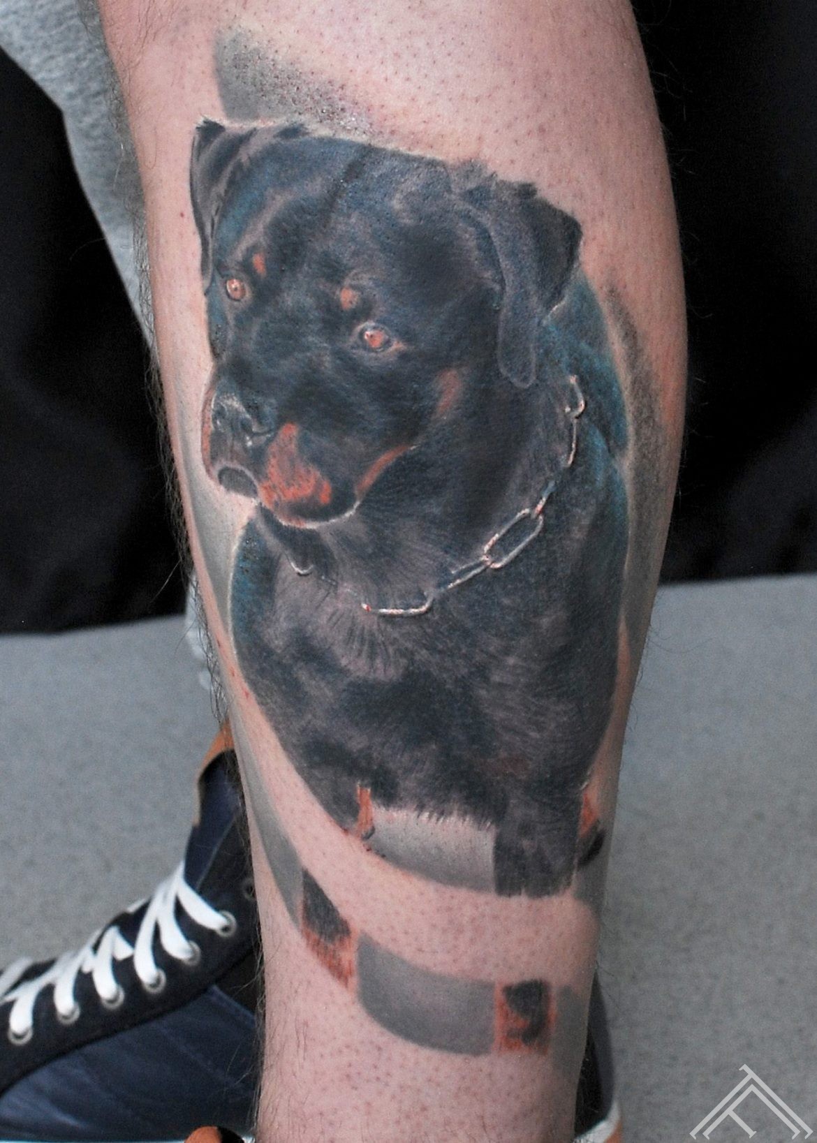 dog-suns-tattoo-tattoofrequency-riga-art-janisanderson