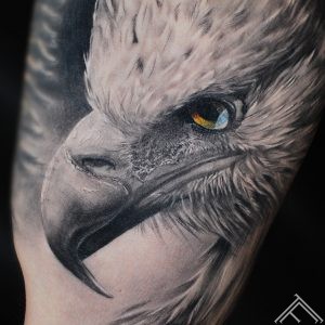 eagle-bird-erglis-putns-tattoo-tetovejums-detailshot_tattoofrequency-riga-instagram