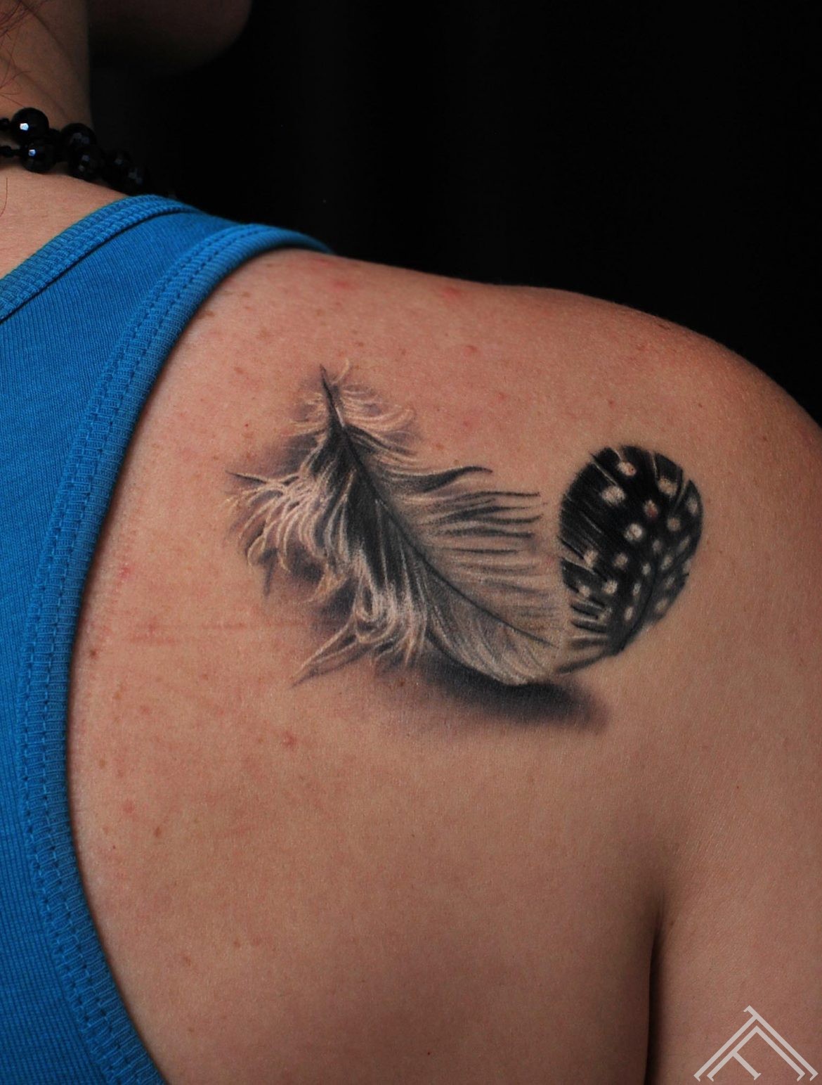 feather_tattoo_tattoofrequency_riga_normal