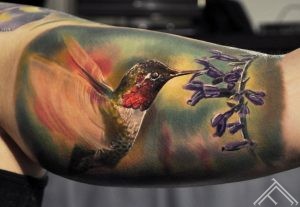 hummingbird-bird-kolibri-flower-salvia-tattoo-tattoofrequency-riga