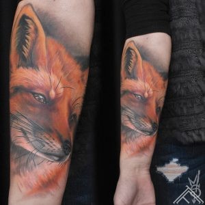 lapsa-fox-portrait-portrets-tattoo-tetovejums-tattoofrequency-studija-salons-riga-art-martinssilins-maksla