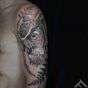 owl-puce-tetovejumas-art-tattoo-tattoofrequency-riga