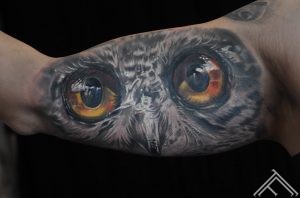 owl_eyes_painting_tattoo_tattoofrequency_marispavlo