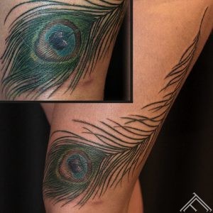 peacock-pavs-spalva-feather-tattoo-tetovejums-tattoofrequency-studija-salons-riga-art-martinssilins-maksla