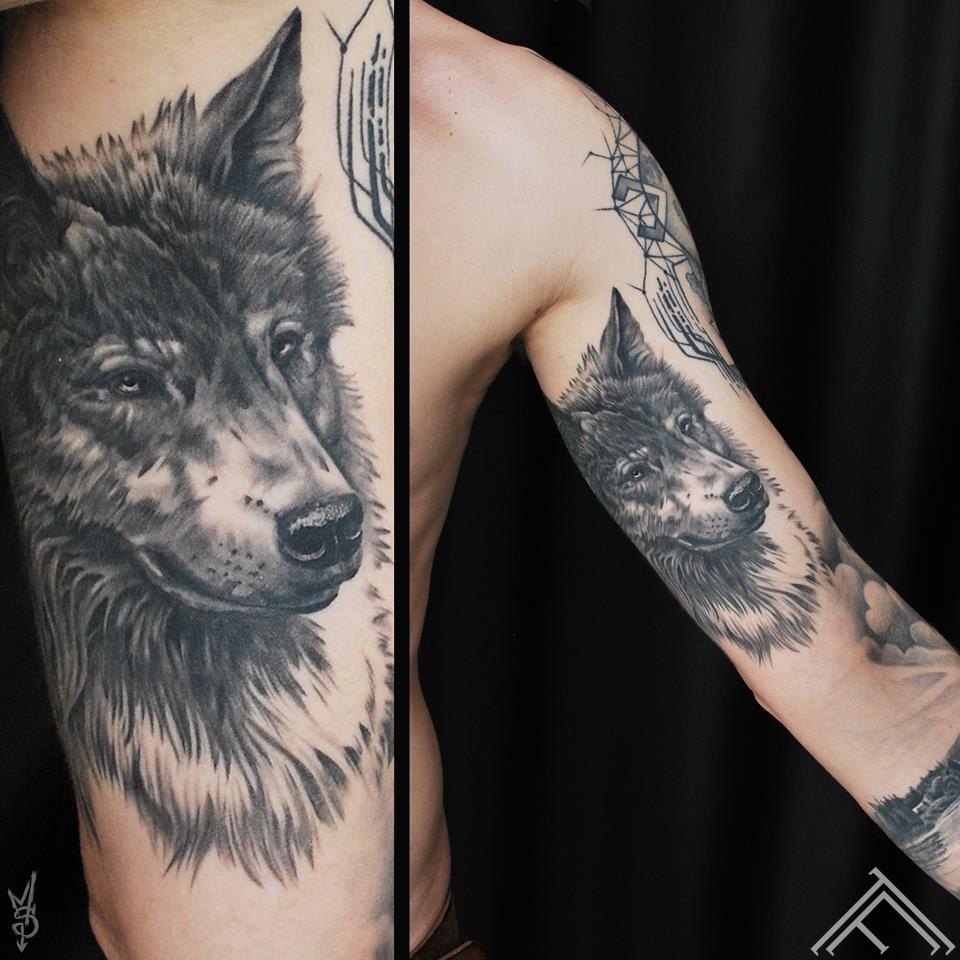 wolf-vilks-tetovejums-tattoofrequency-riga-studija-maksla-tattoo-martinssilins