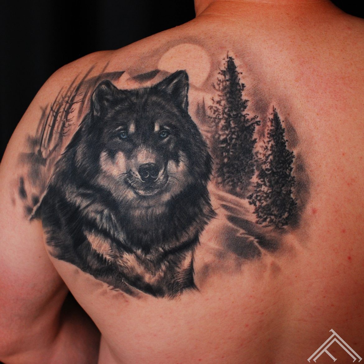 wolf_forest_tattoo_tattoofrequency_art_marispavlo