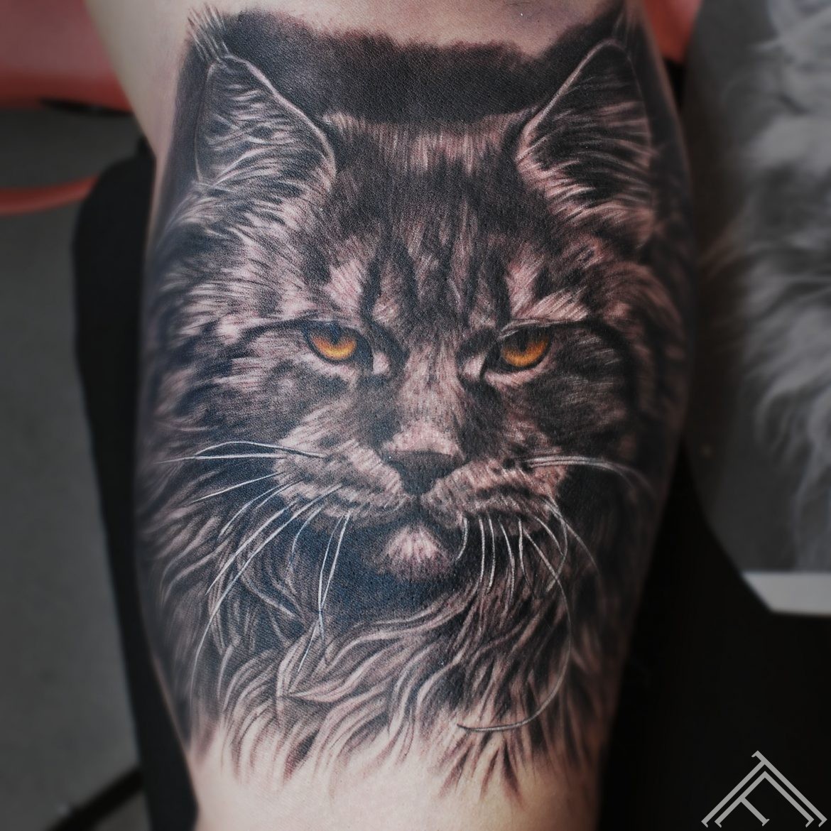 lynx-cat-lusis-kakis-tetovejums-tattoo-tattoofrequency-riga