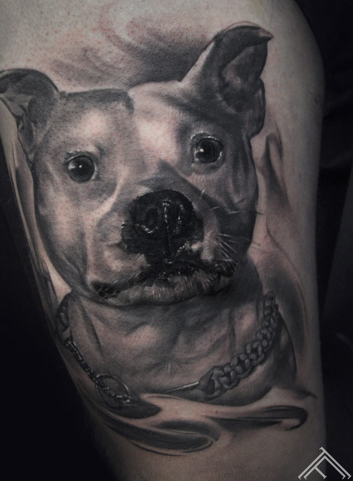 dog-tattoo-marispavlo-tattoofrequency-normalsize
