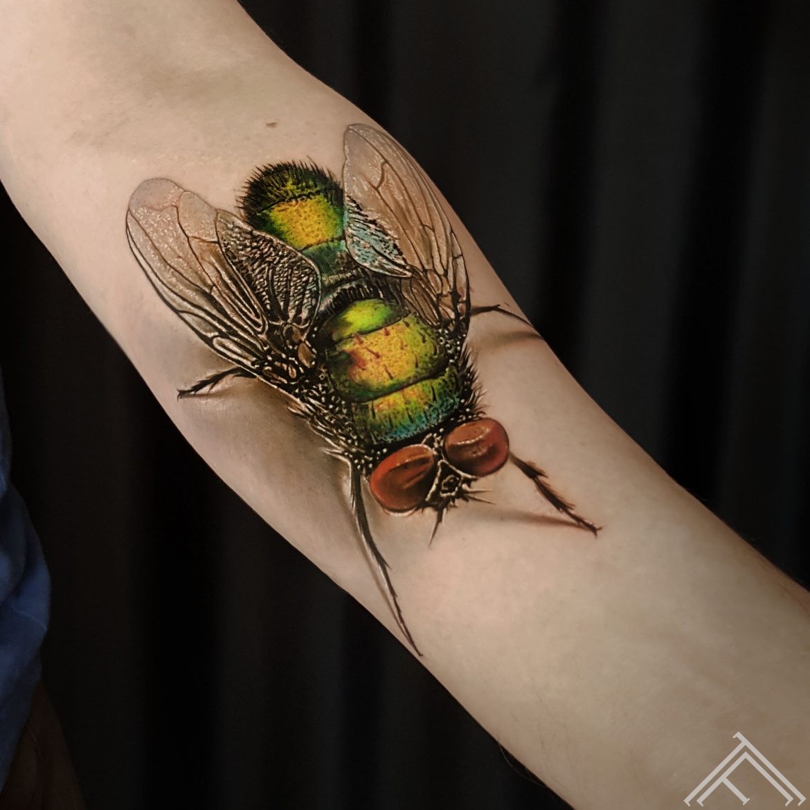 fly-tattoo-tattoofrequency-marispavlo