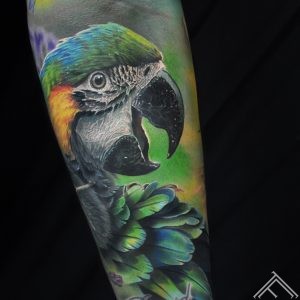 papagailis-parrot-ara-macaw-bird-putns-tetovejums-tattoo-tattoofrequency-riga-marispavlo