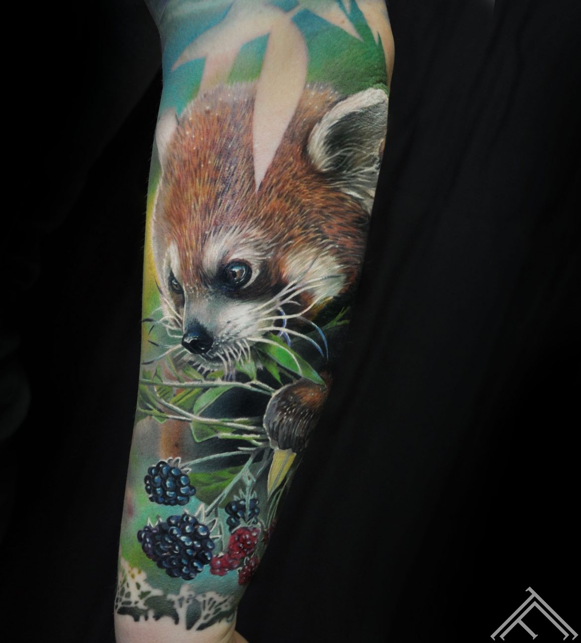 redpanda-panda-berries-ogas-tetovejums-tattoo-tattoofrequency-riga-art-marispavlo