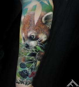 redpanda-panda-berries-ogas-tetovejums-tattoo-tattoofrequency-riga-art-marispavlo