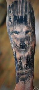 wolf-wood-forest-sprunce-pine-animal-marispavlo-tattoofrequency-riga