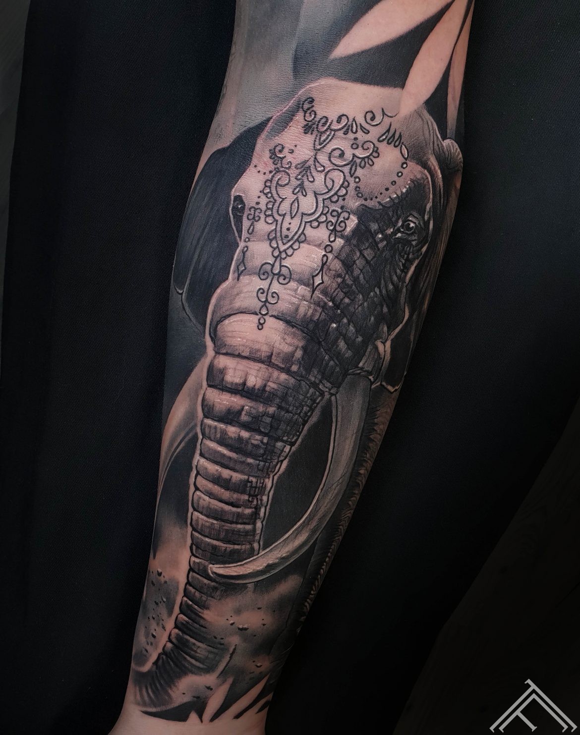 elephant-jessica-tattoofrequency-marispavlo-art