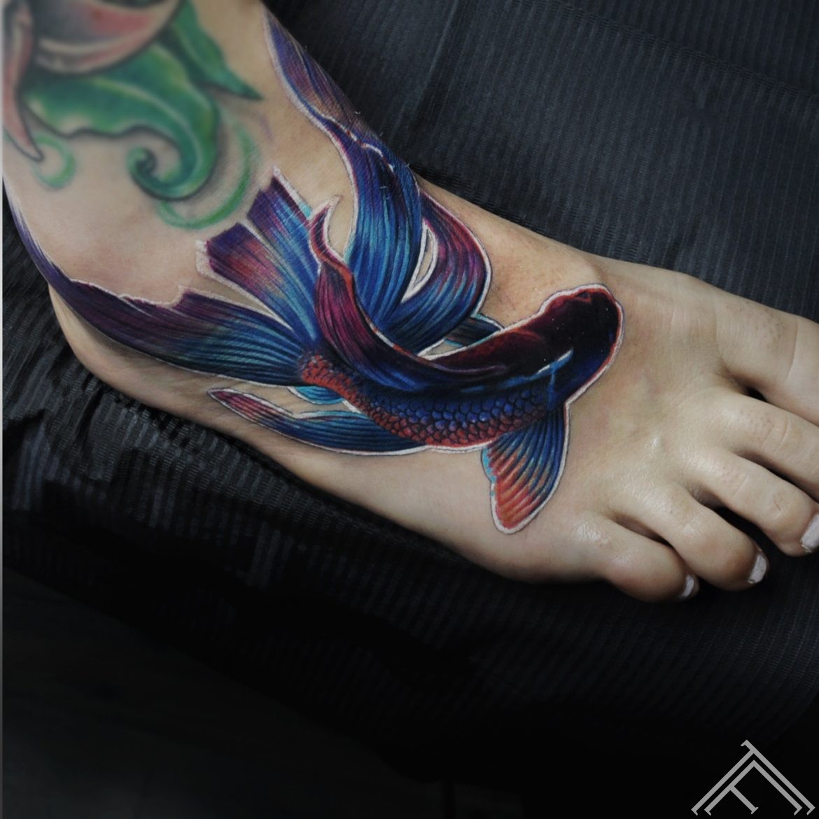 siamese-fighting- fish-zivs-tattoo-tattoofrequency2