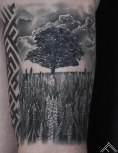 varpas-koks-tree-graas-plant-horizont-plava-landscape-makoni-clouds-art-tattoofrequency-martinssilinstattoo-close up