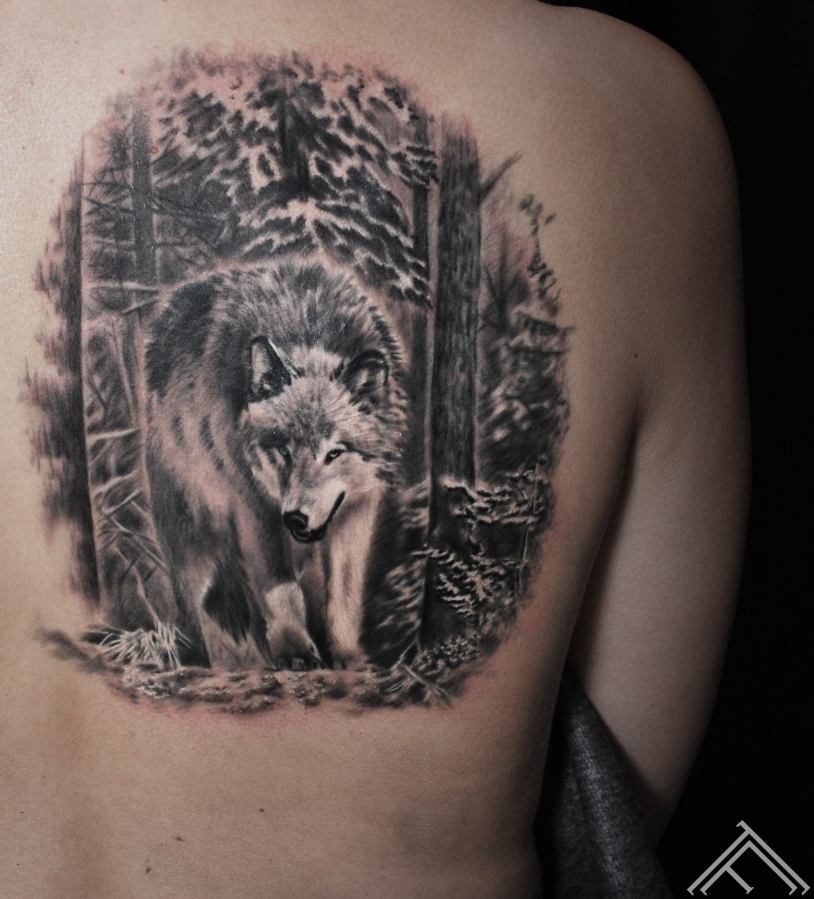 wolf-forest-vilks-mezs-trees-nature-tattoofrequency-riga-art-andersontattoo